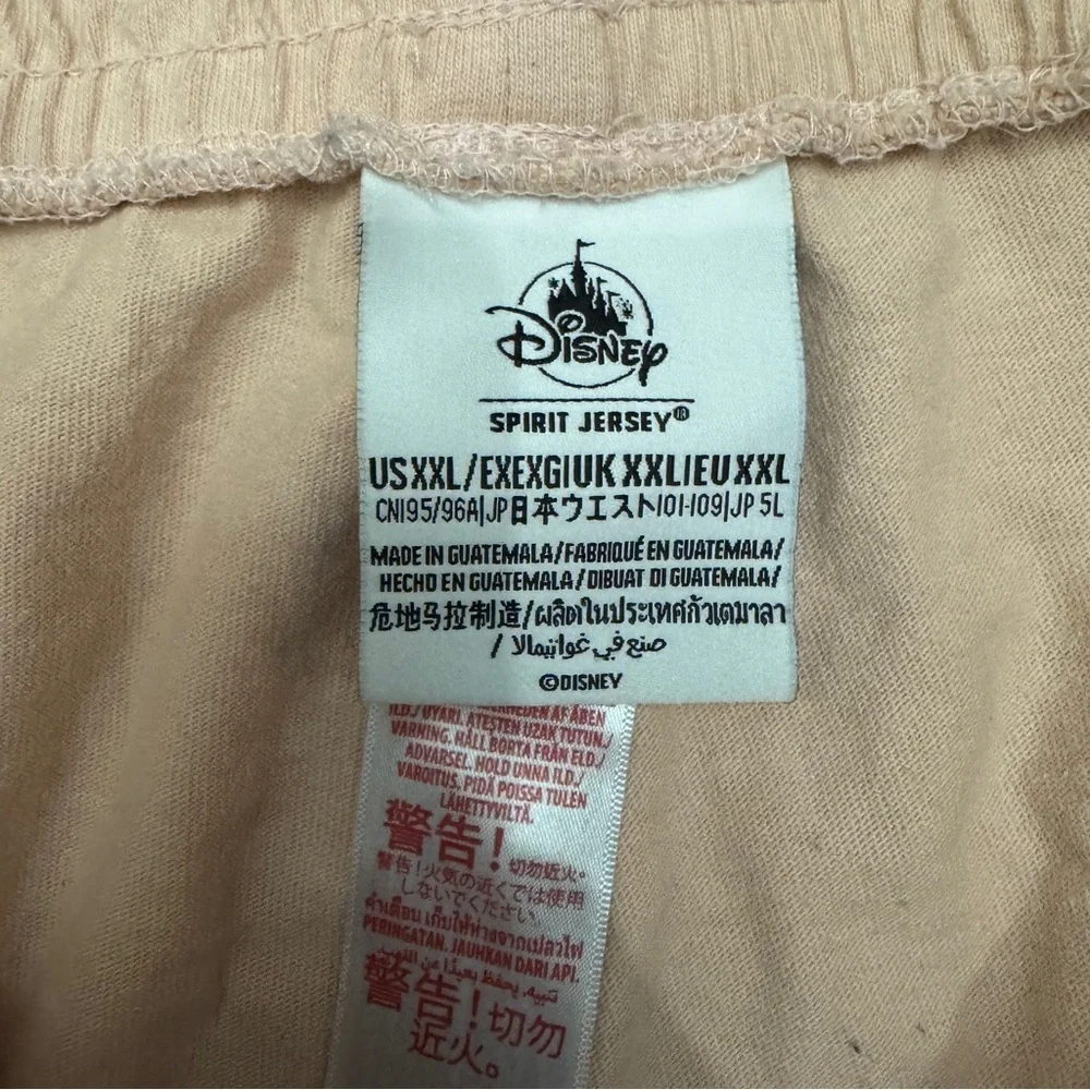 Disney spirit jersey